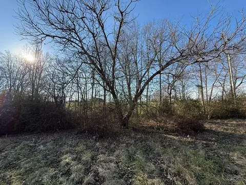 Other - 7036 J D Randolph Rd, Baxter, TN 38544 photo 8 of 22