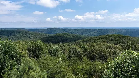 8298 Balata Dr, Ooltewah, TN 37363