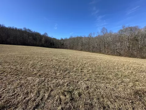 0 Whites Cave Rd, Sparta, TN 38583