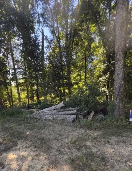 0 Paul Harrell Rd, Beechgrove, TN 37018