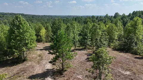 0 Freedom Rdg, Indian Mound, TN 37079