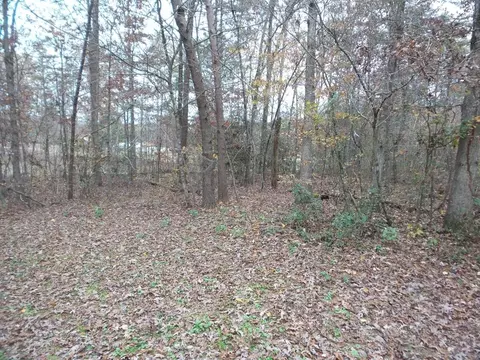 471 Quarry Rd, Dunlap, TN 37327 photo 30