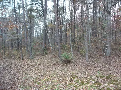 471 Quarry Rd, Dunlap, TN 37327 photo 27