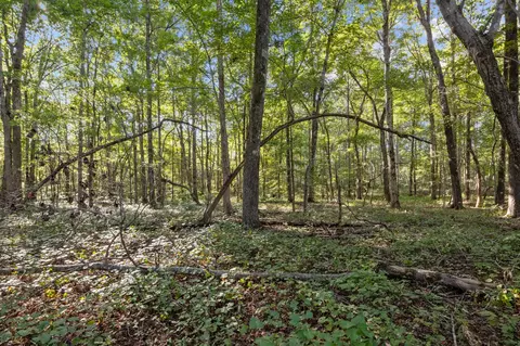 1127 E Pruett Rd, Dickson, TN 37055 photo 12