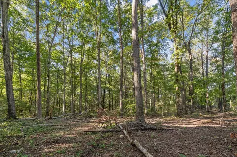 1127 E Pruett Rd, Dickson, TN 37055 photo 11