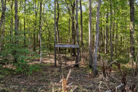 1127 E Pruett Rd, Dickson, TN 37055 photo 9