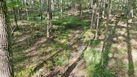 1127 E Pruett Rd, Dickson, TN 37055 photo 21