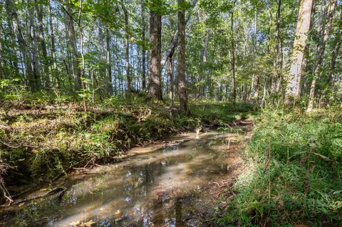1127 E Pruett Rd, Dickson, TN 37055 photo 18