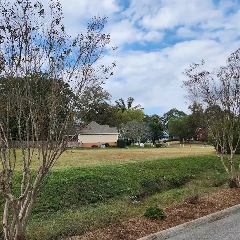 8770 Gable Xing, Chattanooga, TN 37421 photo 11