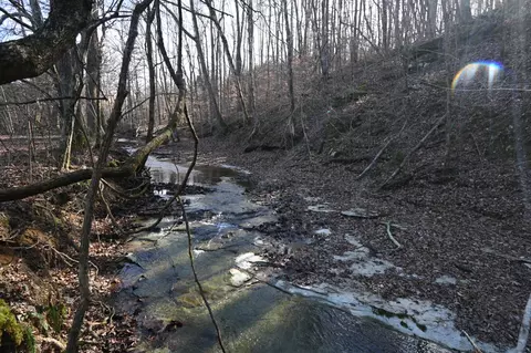 0 Marsh Creek Rd, Linden, TN 37096