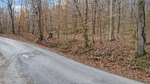 Other - 0 Shellotte Loop, Pall Mall, TN 38577 photo 11 of 11