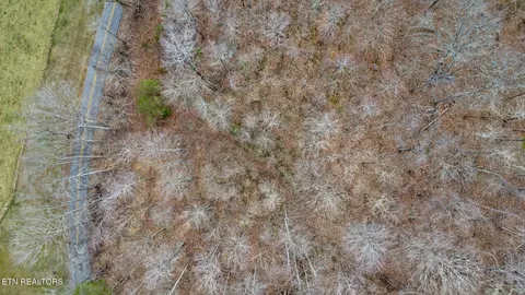 View/Area - 0 Shellotte Loop, Pall Mall, TN 38577 photo 9 of 9