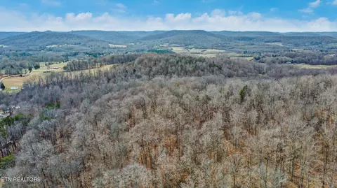 Other - 0 Shellotte Loop, Pall Mall, TN 38577 photo 6 of 11