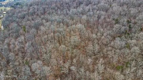 View/Area - 0 Shellotte Loop, Pall Mall, TN 38577 photo 2 of 9