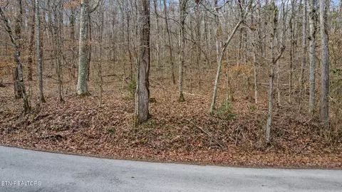 Other - 0 Shellotte Loop, Pall Mall, TN 38577 photo 10 of 11