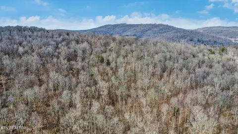 Other - 0 Shellotte Loop, Pall Mall, TN 38577 photo 8 of 11