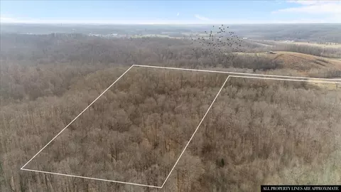 3955 Possum Hollow Rd, Palmyra, TN 37142