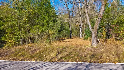 4963 Parker Loop Rd, Birchwood, TN 37308 photo 10
