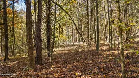 4963 Parker Loop Rd, Birchwood, TN 37308 photo 13