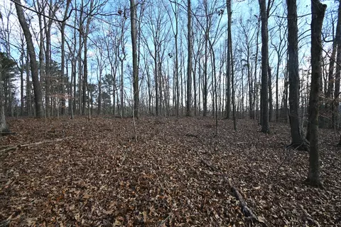 0 Hwy 412 W, Linden, TN 37096