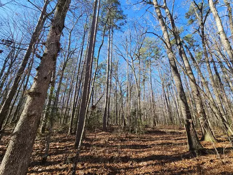 3 Savage Highland Dr, Coalmont, TN 37313