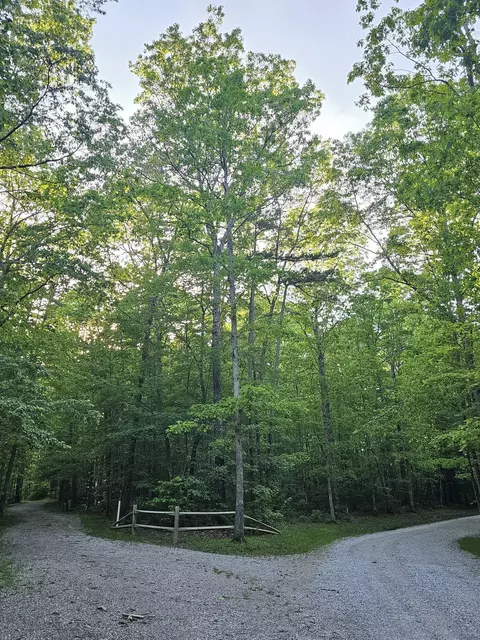 3 Savage Highland Dr, Coalmont, TN 37313
