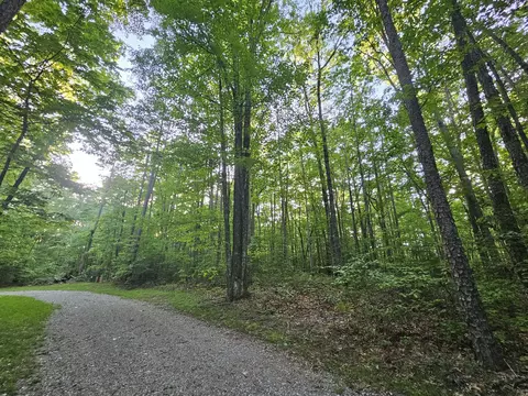 3 Woodfern Ln, Coalmont, TN 37313