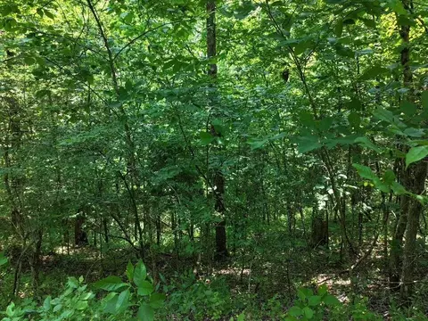 0 Cherry Ln, Celina, TN 38551 photo 6