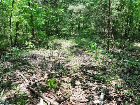 0 Cherry Ln, Celina, TN 38551 photo 3