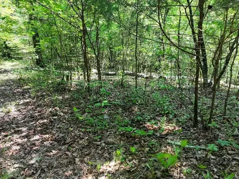 0 Cherry Ln, Celina, TN 38551 photo 2