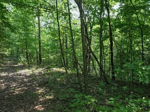 0 Cherry Ln, Celina, TN 38551 photo 4