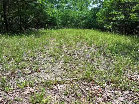 0 Cherry Ln, Celina, TN 38551 photo 7