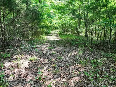0 Cherry Ln, Celina, TN 38551 photo 8