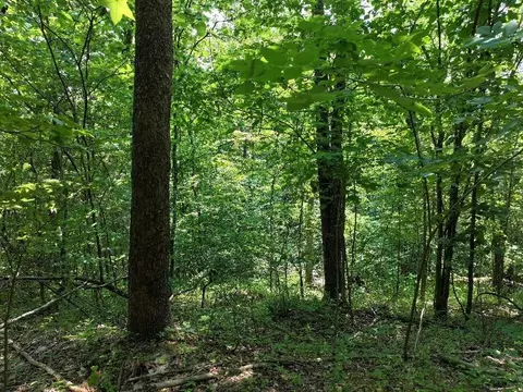0 Cherry Ln, Celina, TN 38551 photo 5