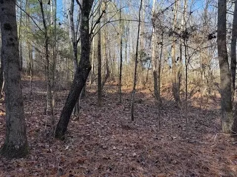 5 County Road 751, Valley Head, AL 35989