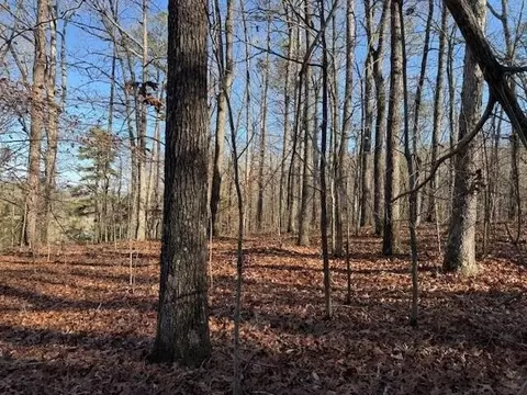 7 County Road 751, Valley Head, AL 35989