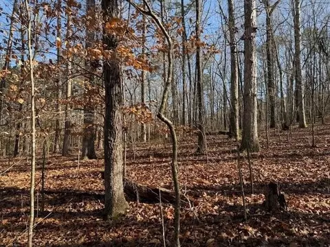 6 County Road 751, Valley Head, AL 35989