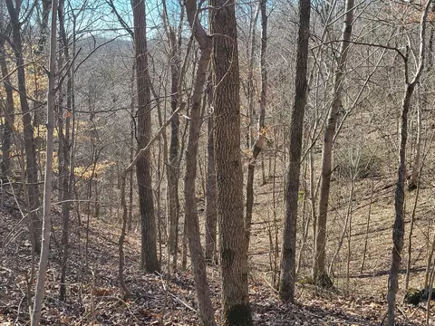 177 Martin Cv, Holladay, TN 38341