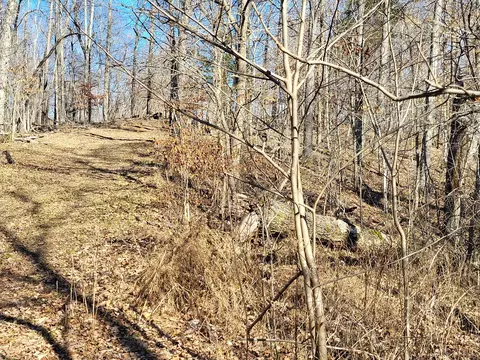 177 Martin Cv, Holladay, TN 38341