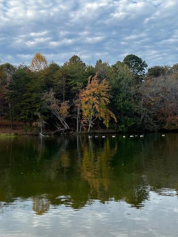 45 Pin Hook Rd, Spring City, TN 37381