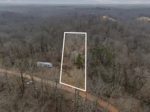 0 Tyler Ridge Rd, Primm Springs, TN 38476