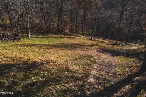 7447 Evolene Cir, Talbott, TN 37877 photo 35