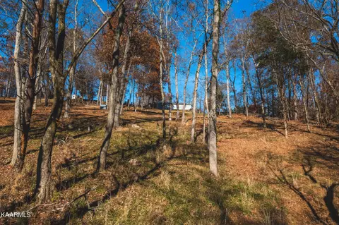 7447 Evolene Cir, Talbott, TN 37877 photo 26