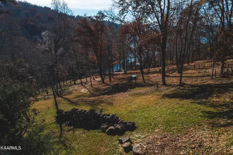 7447 Evolene Cir, Talbott, TN 37877 photo 32
