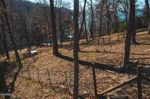 7447 Evolene Cir, Talbott, TN 37877 photo 34