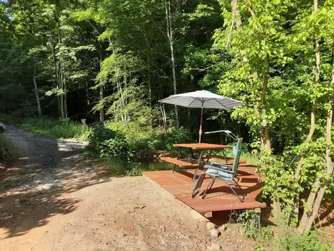 196 Justice Road Rd, Eidson, TN 37731 photo 31