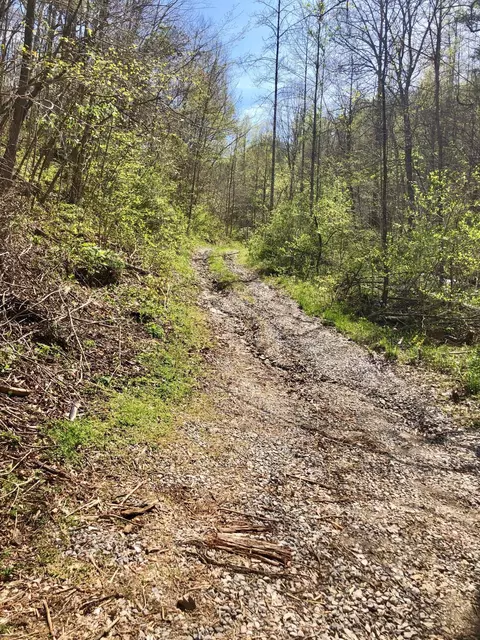 196 Justice Road Rd, Eidson, TN 37731 photo 23
