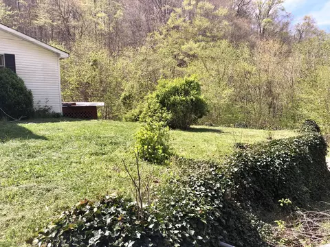 196 Justice Road Rd, Eidson, TN 37731 photo 24
