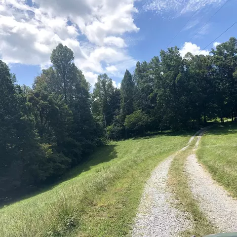284 Castle Road Rd, Eidson, TN 37731 photo 8