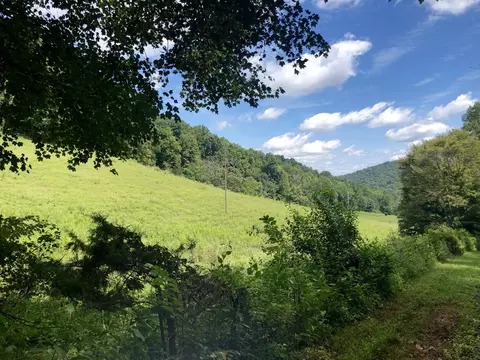 284 Castle Road Rd, Eidson, TN 37731 photo 28